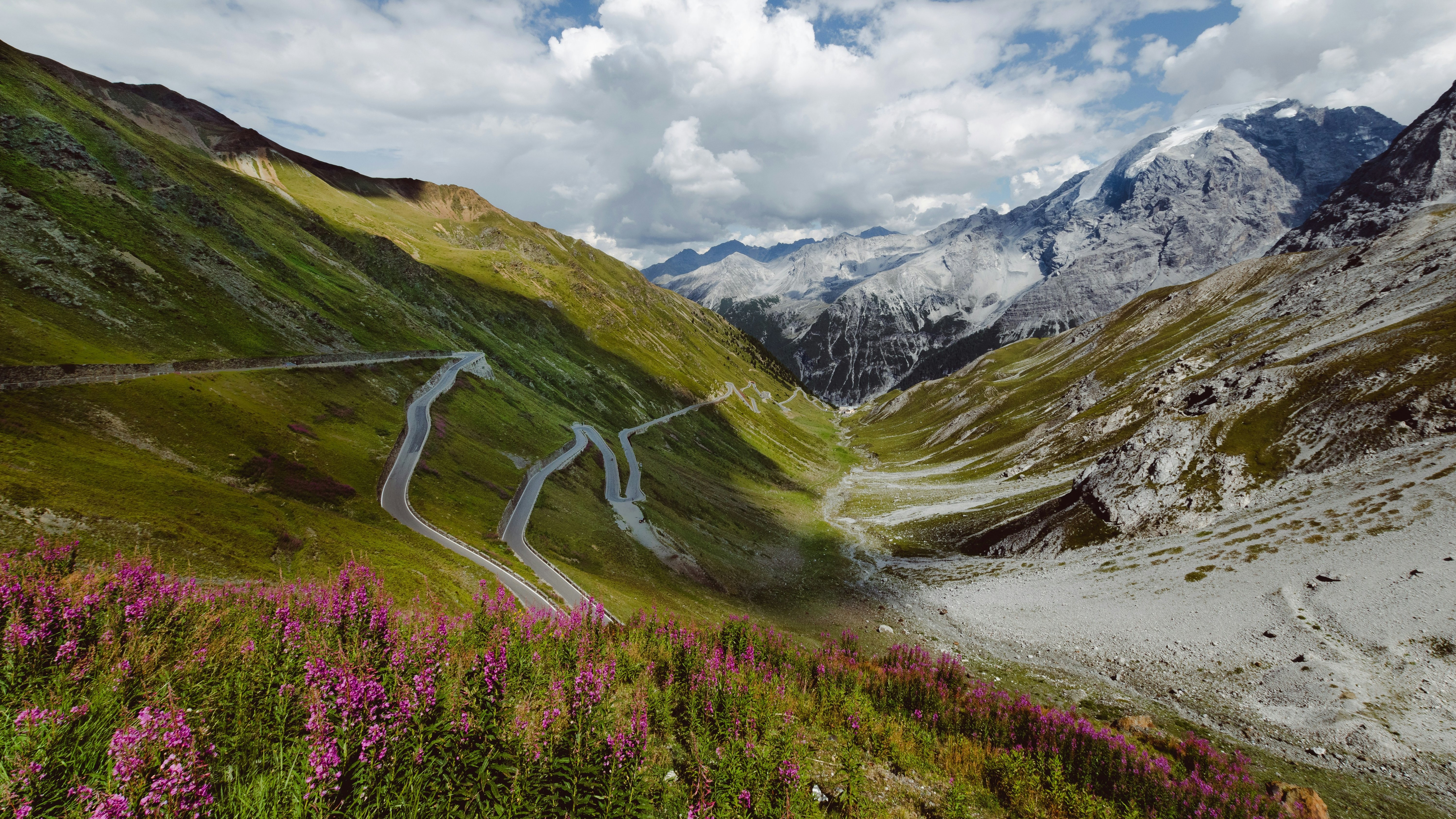 Berglandschaft mit gewundener Straße und Wildblumen im Vordergrund unter teils bewölktem Himmel