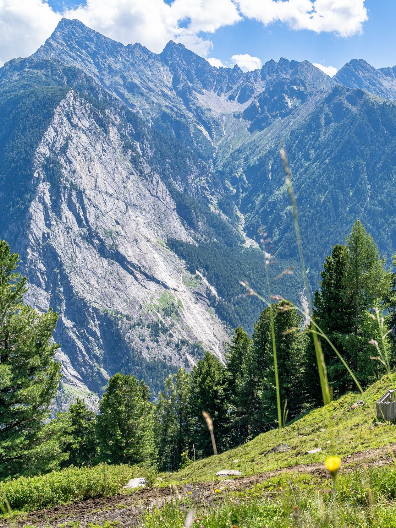 Holzhütte umgeben von Bäumen und üppigem Grün in einer Bergkulisse ohne Menschen