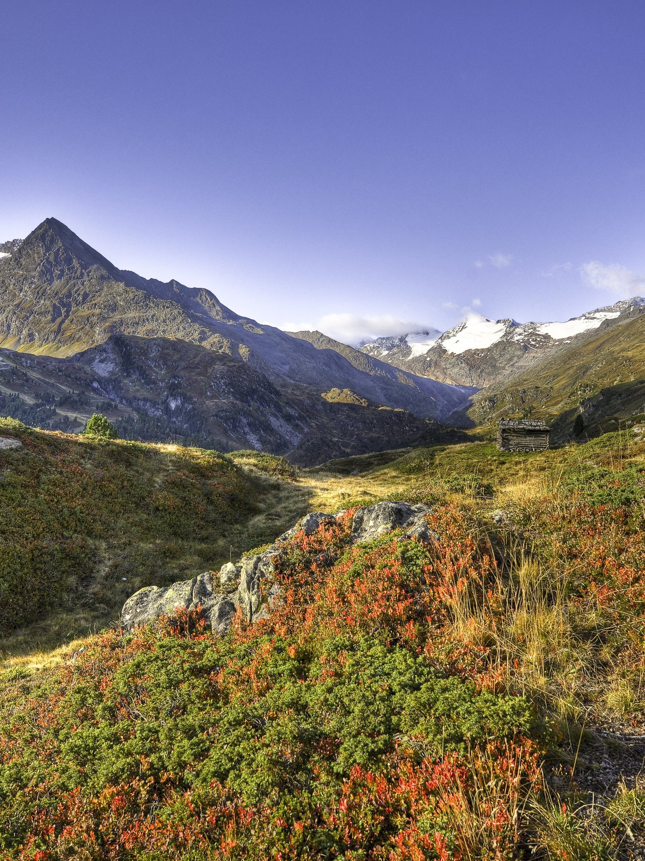Berglandschaft mit buntem Herbstlaub und schneebedeckten Gipfeln im Hintergrund.