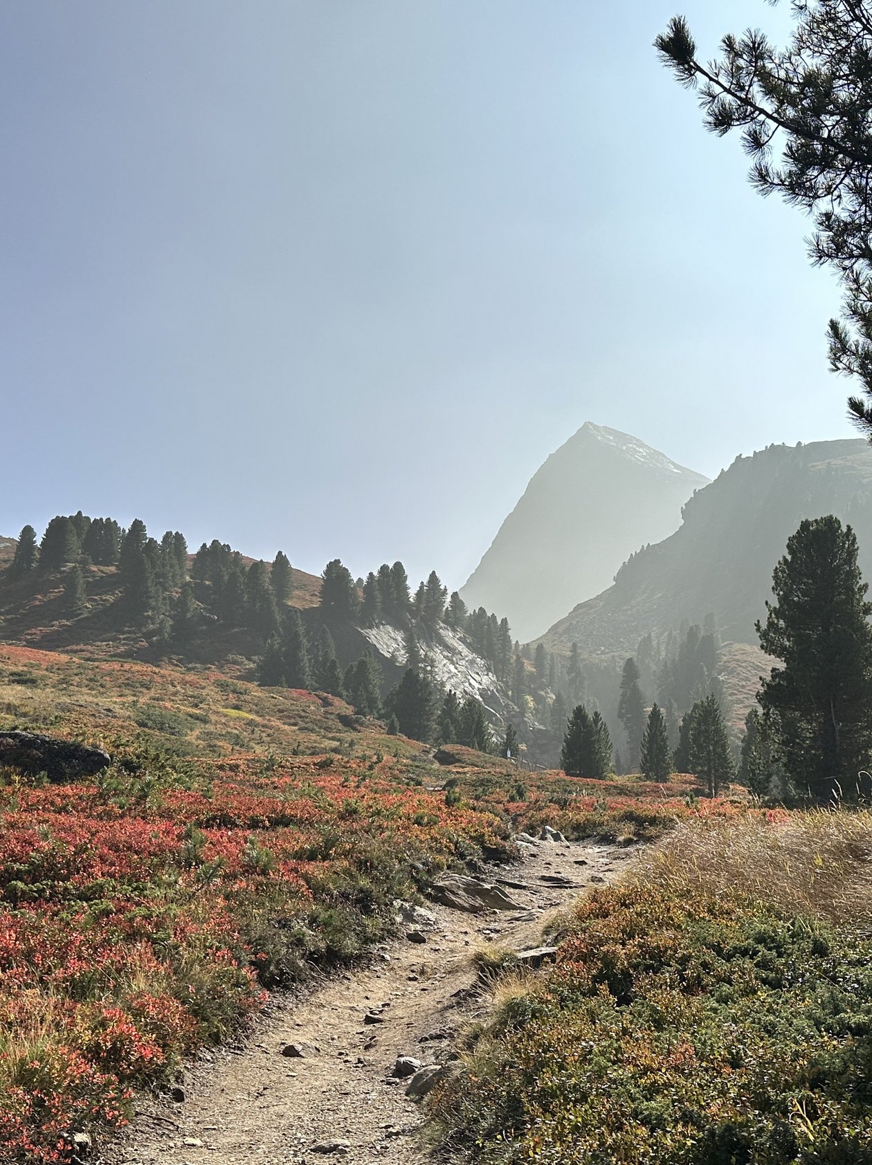 Berglandschaft mit Wanderweg durch herbstliche Bäume und Nebelberge im Hintergrund