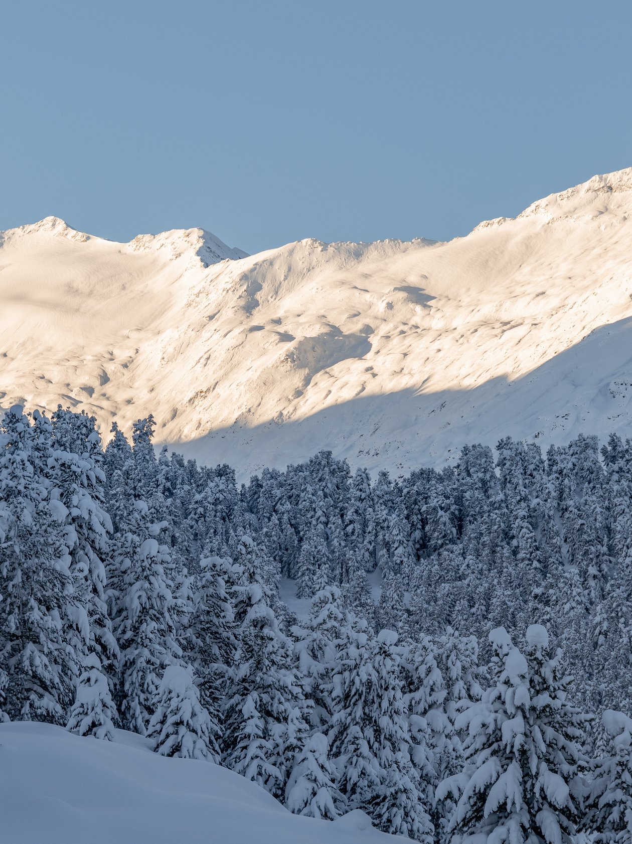 Breathtaking winter view in the Alps Snow-covered mountains and evergreen trees in a winter landscape featuring a clear sky.