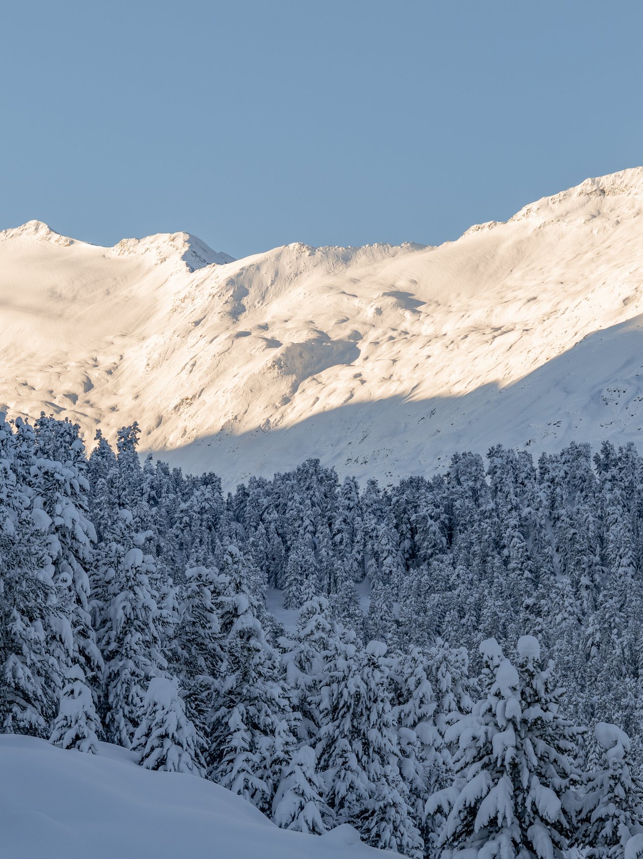 Verschneite Berglandschaft im Winter Schnee bedeckte Berge umgeben von dichten, immergrünen Bäumen in der Winterlandschaft.