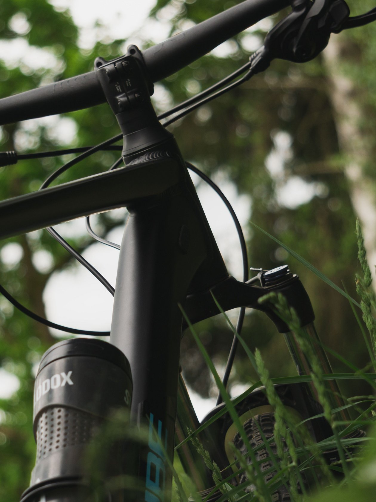 Nahaufnahme eines Mountainbikes in hohem Gras und zwischen Bäumen, Fokus auf Rahmen und Lenker